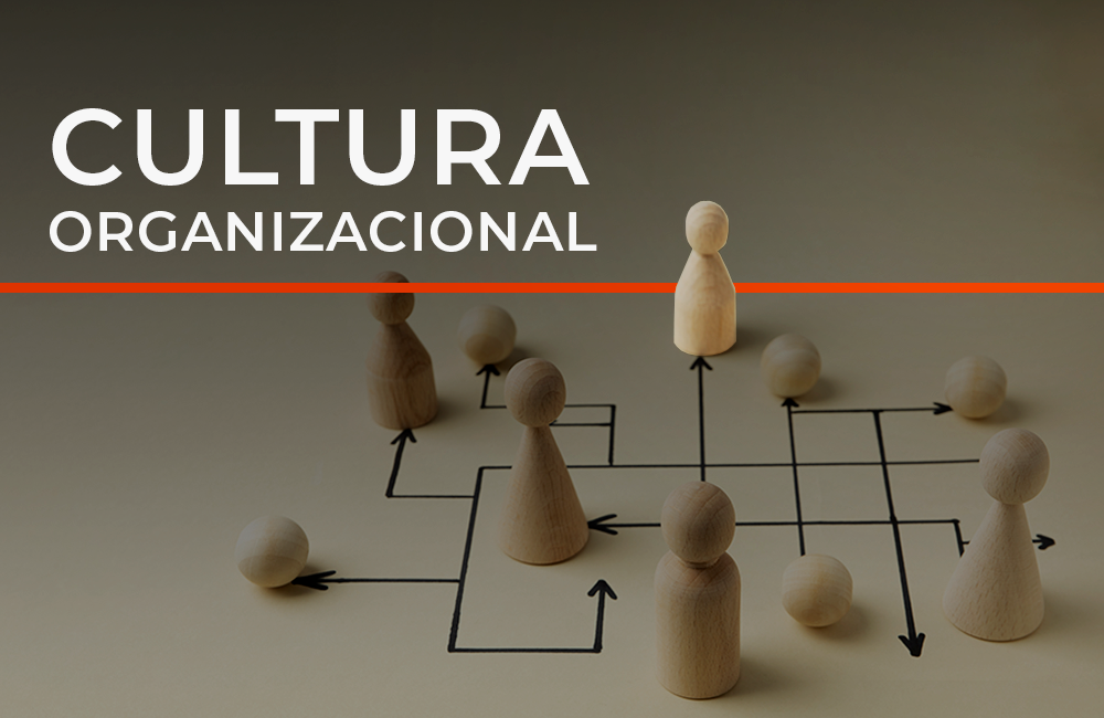 cultura organizacional