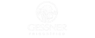 logo-gessner-branca