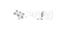 pwm