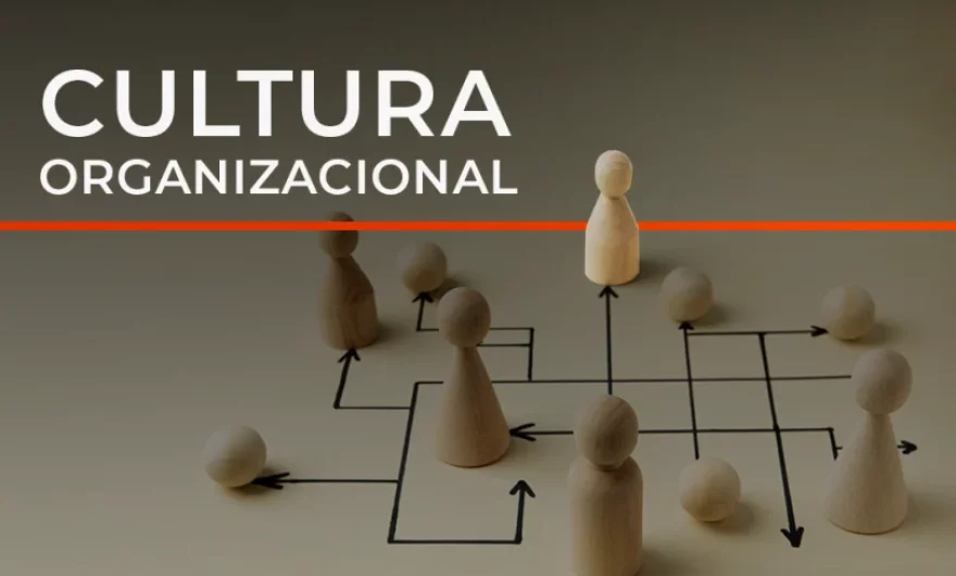 Cultura organizacional